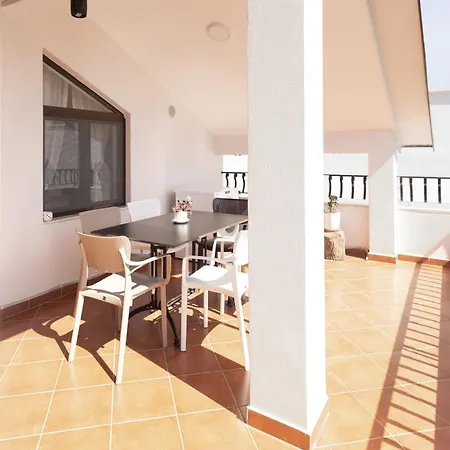 Old Olive تيرانا