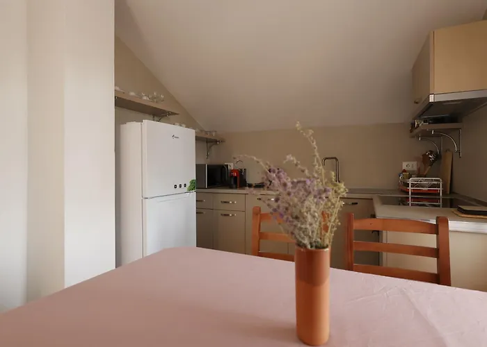 Old Olive Guest house