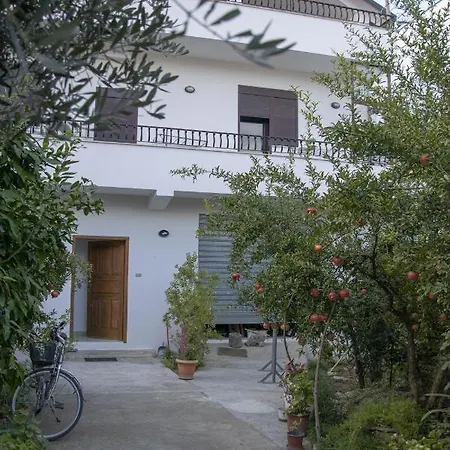 Old Olive 4*