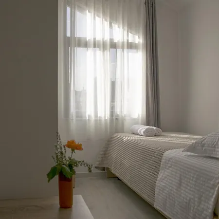 Old Olive Guest house Tirana