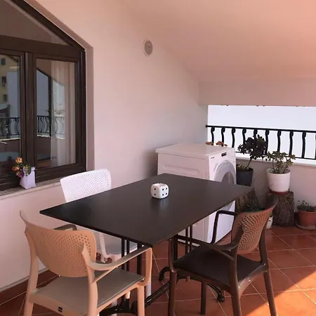 Old Olive Pensjonat Tirana